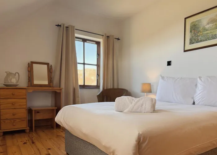 Stargazers דולין